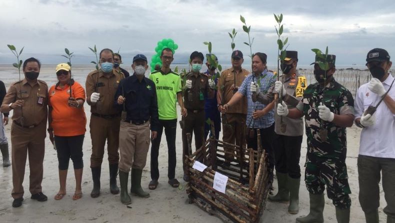 Penanaman Ratusan Bibit Mangrove Di Pantai Perepat